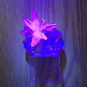 Strong fluorescence under longwave UV