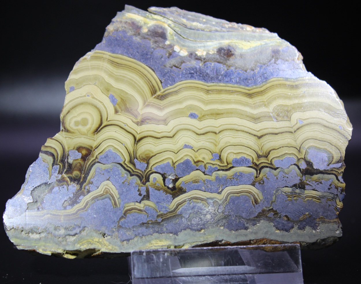 1 - schalenblende polen Schalenblende Olkusz