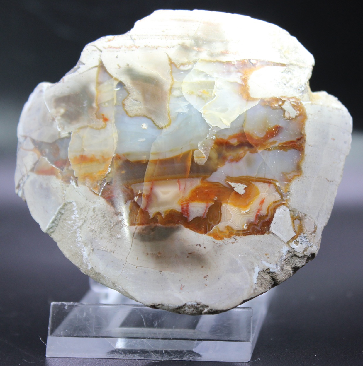 Front view of polished agate from Lierbach Valley near Oppenau
