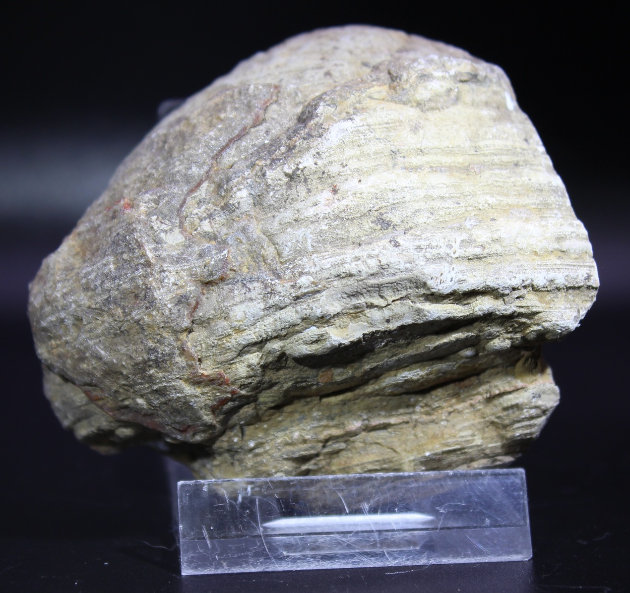 Polished Agate from the Lierbach Valley, Oppenau, Black Forest, Germany - Image 3