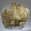 Calcite scalenohedra from Briloner Hartsteinwerke Quarry Germany