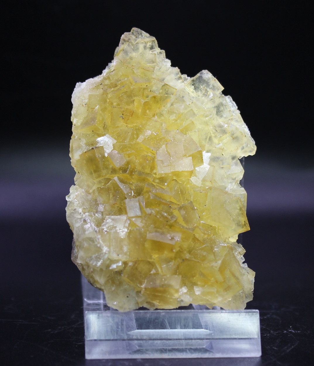 Gelber Fluorit aus der Moscona Mine in Asturien, Spanien