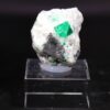 Grüner Smaragdkristall auf heller Matrix aus der Coscuez Mine in Kolumbien