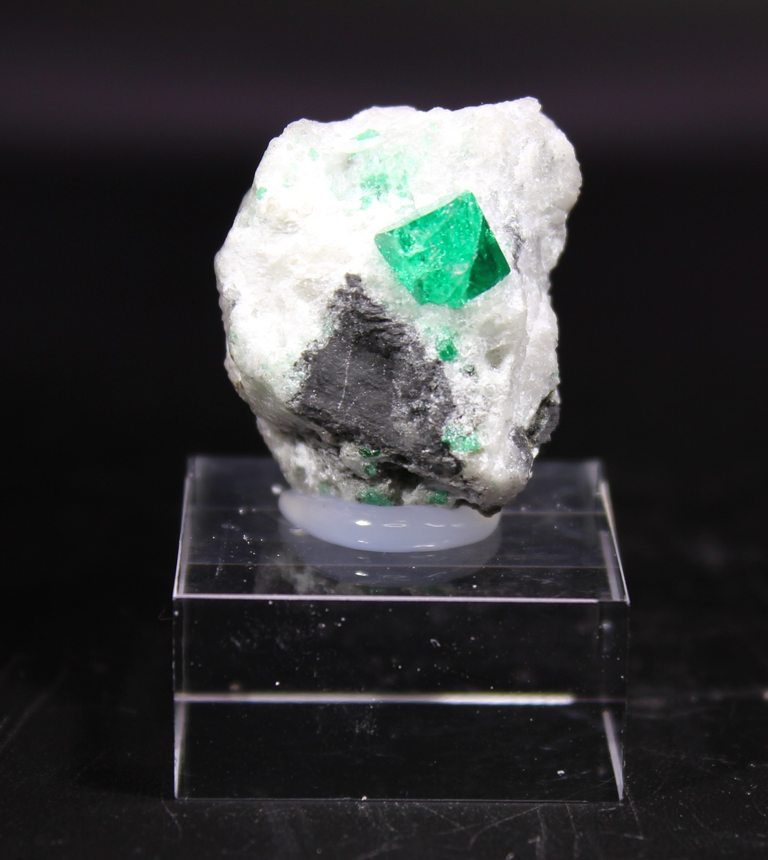 Grüner Smaragdkristall auf heller Matrix aus der Coscuez Mine in Kolumbien