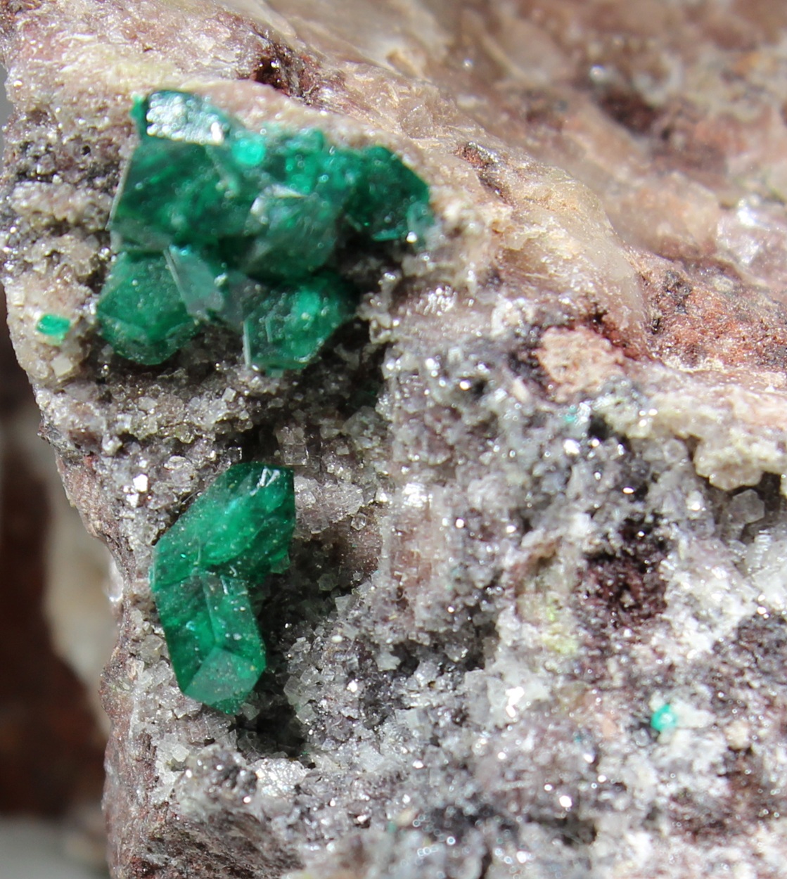 Dioptas-Kristalle auf rötlicher Quarzmatrix aus der Ntola Mine bei Mindouli, Pool Region, Republik Kongo.