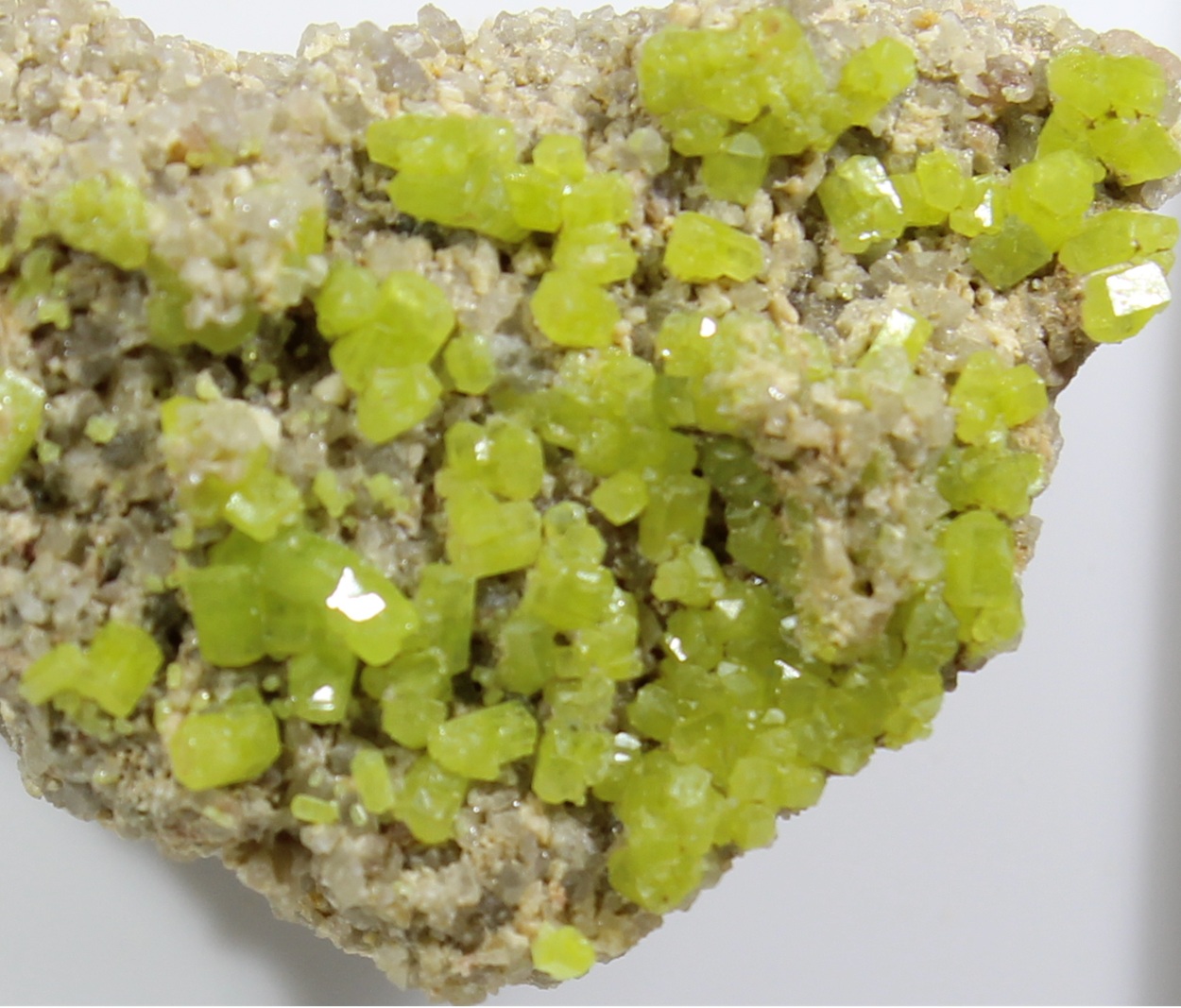 Leuchtend gelbgrüne Pyromorphit-Kristalle auf Sandsteinmatrix aus Deutschland
