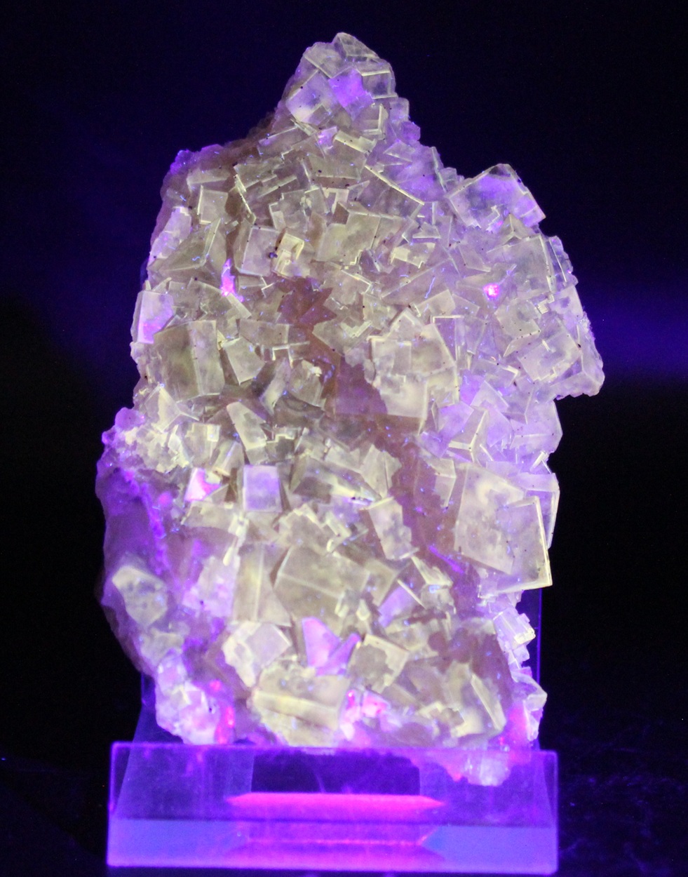 Gelbliche Fluoreszenz von Fluorit aus der Moscona Mine unter langwelligem UV-Licht