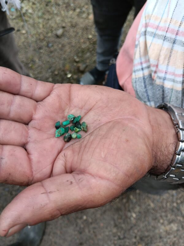 Kleine rohe Smaragdkristalle und Bruchstücke in der Hand eines Mineros im Gachalá-Distrikt.
