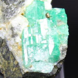 Detailaufnahme grüner Smaragdkristalle aus der Galeria Los Topos Kolumbien