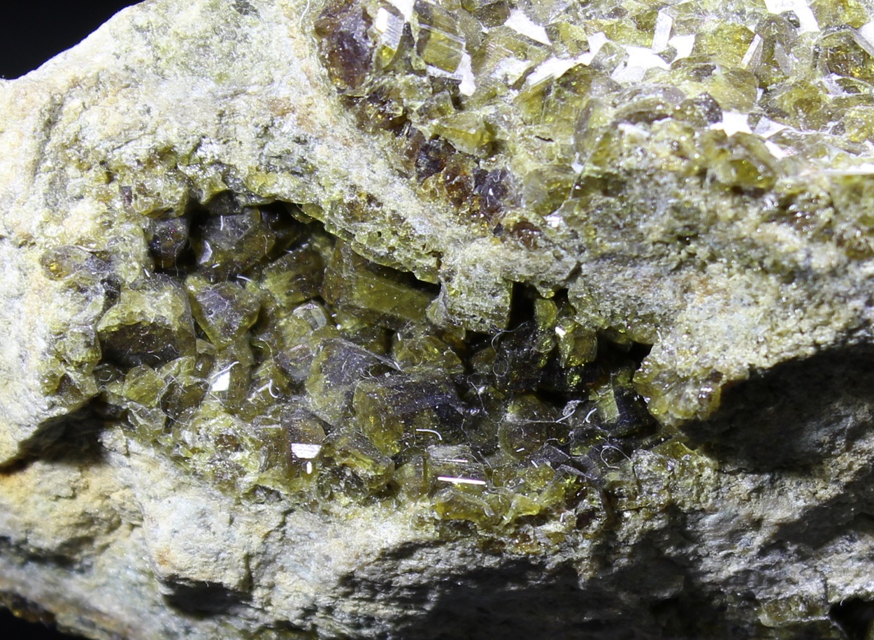 Detail olivgrüner Vesuvianitkristalle vom Hamrefjell in Norwegen