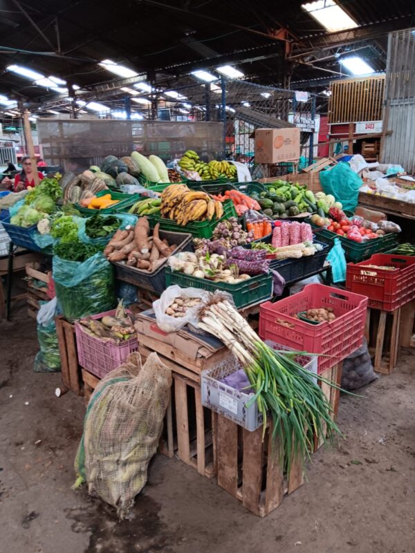 Gemüse- und Obststand auf dem städtischen Markt von Chiquinquirá mit Bananen, Yuca, Gemüse und weiteren regionalen Produkten.