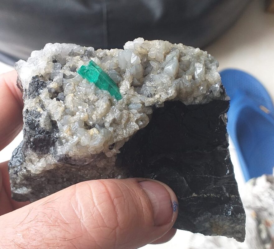 Grüner Smaragdkristall auf heller hydrothermaler Gangmineralisation und dunklem Nebengestein aus dem Muzo-Distrikt.