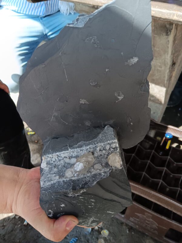 Handstück aus dem Coscuez-Distrikt mit heller hydrothermaler Gangmineralisation im dunklen Schwarzschiefer.