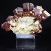 Vanadinit aus Mibladen Marokko mit kräftig roten hexagonalen Kristallen auf Matrix