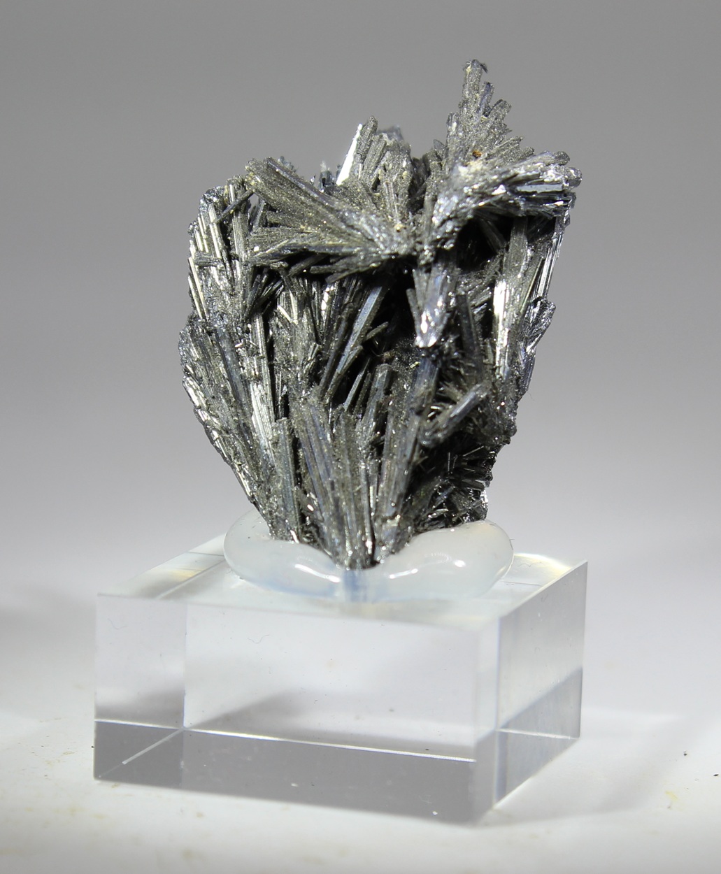 Radiating metallic Stibnite crystals from the Herja Mine Romania