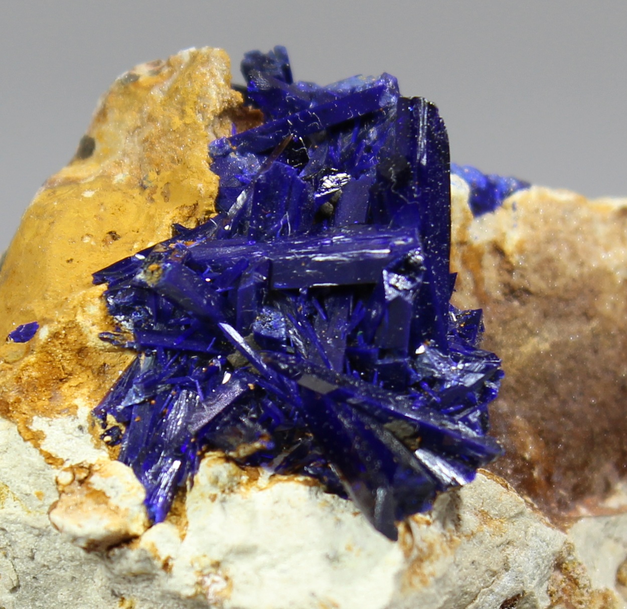 Dunkelblaue Azurit Kristalle aus Kerrouchen Marokko Detailansicht