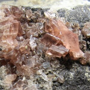 Flach rhomboedrische Rhodochrositkristalle aus der Uchucchacua Mine Peru