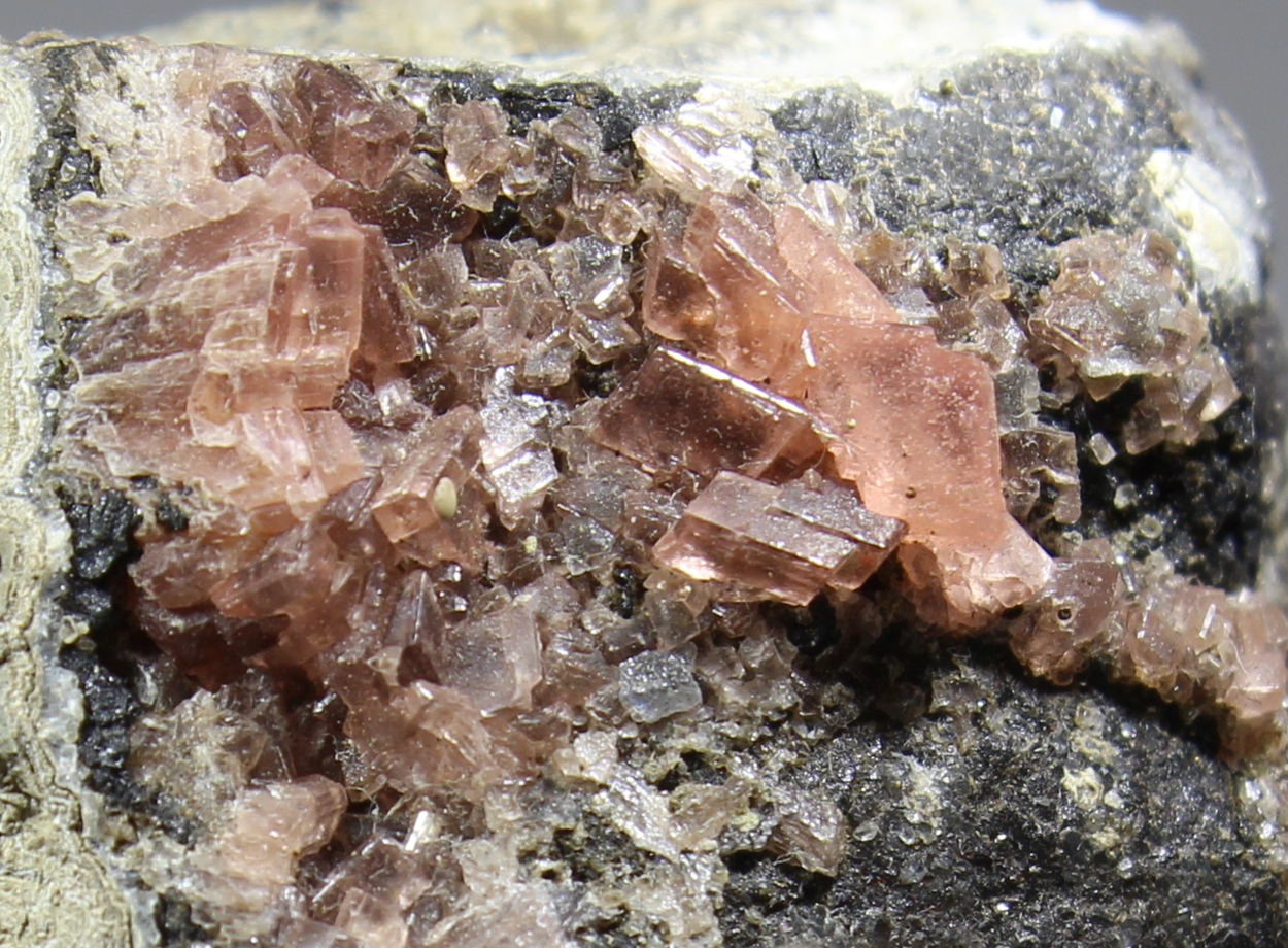 Flach rhomboedrische Rhodochrositkristalle aus der Uchucchacua Mine Peru