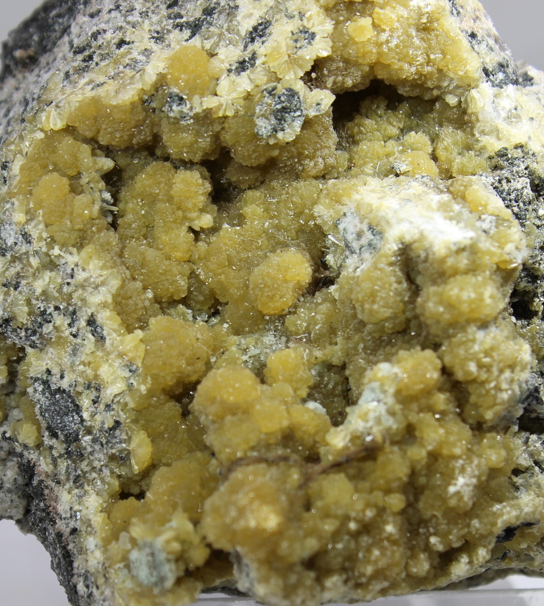 Rounded Stilbite aggregates from Leveäniemi Sweden detail